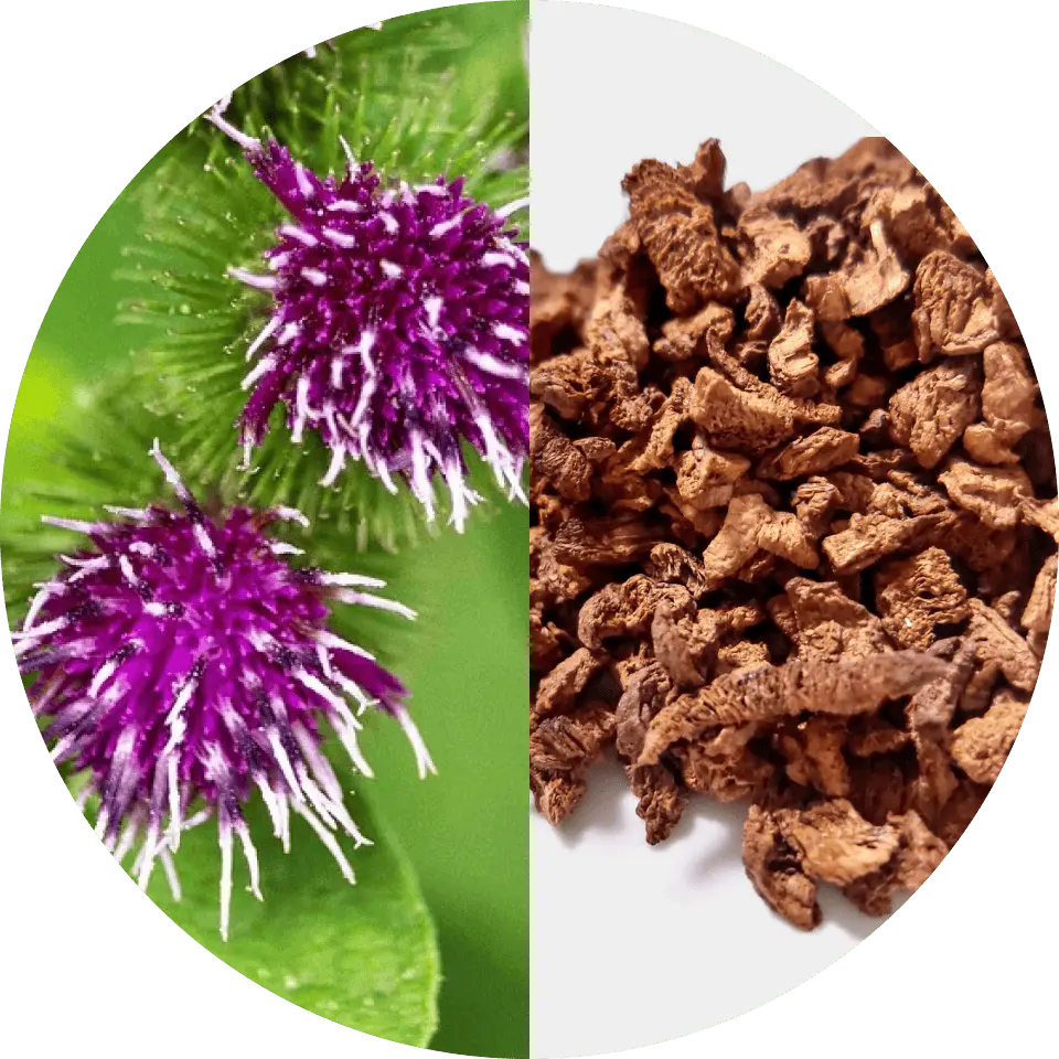 For Brightness & Firmness