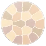 Vivaciously radiant and sophisticated